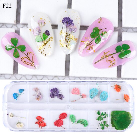 Natural Dried Flowers Decorations