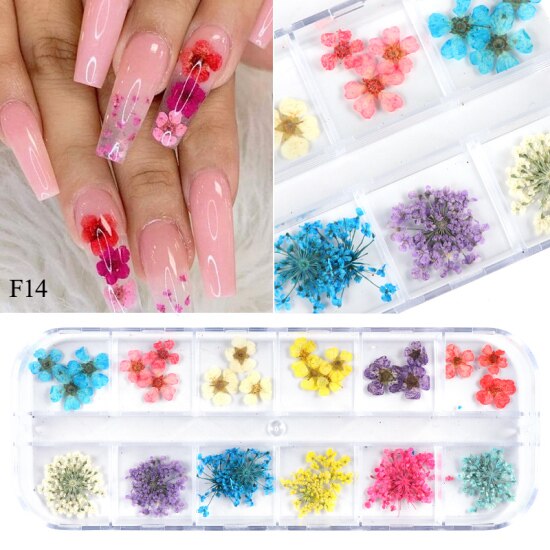Natural Dried Flowers Decorations