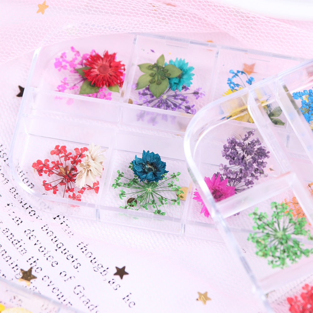 Natural Dried Flowers Decorations