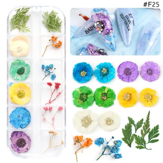 Natural Dried Flowers Decorations