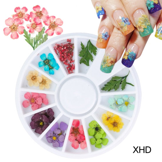Natural Dried Flowers Decorations