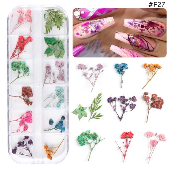 Natural Dried Flowers Decorations