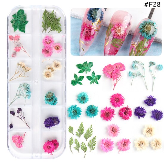 Natural Dried Flowers Decorations