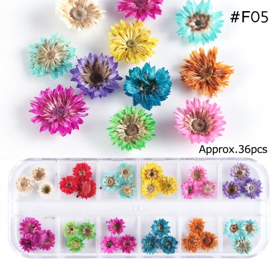 Natural Dried Flowers Decorations