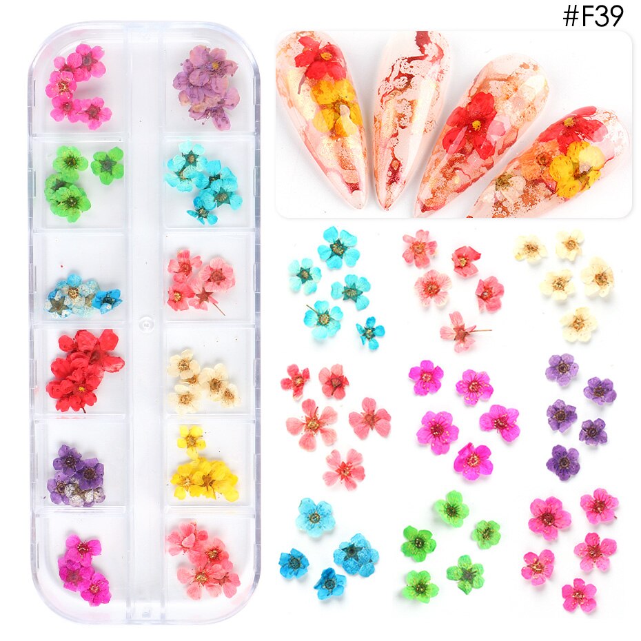 Natural Dried Flowers Decorations