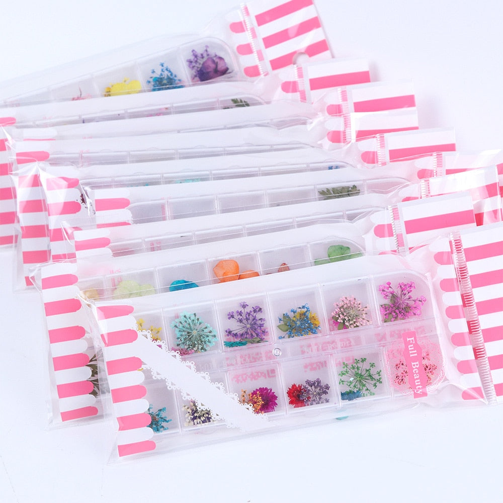 Natural Dried Flowers Decorations