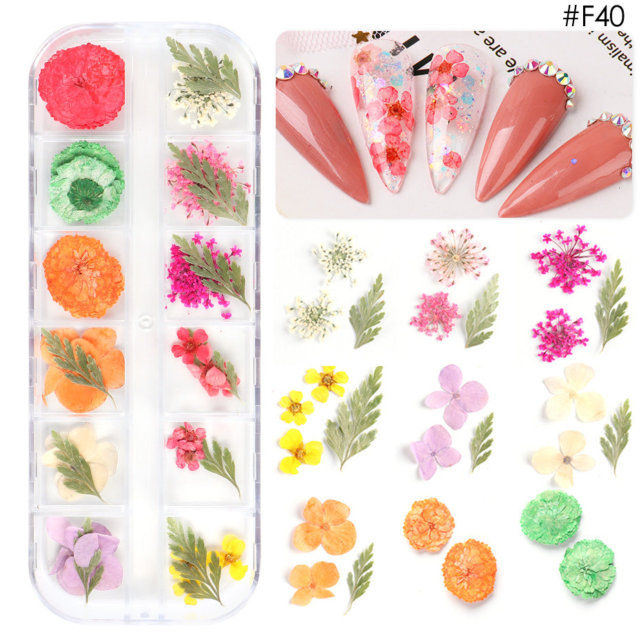 Natural Dried Flowers Decorations
