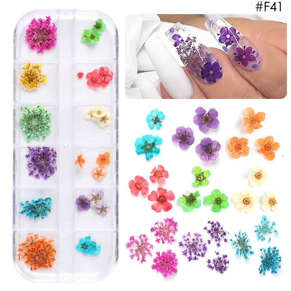 Natural Dried Flowers Decorations