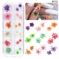 Natural Dried Flowers Decorations