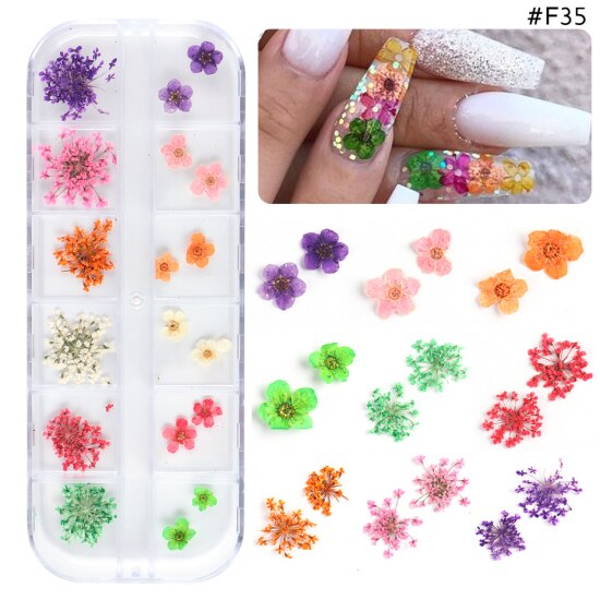 Natural Dried Flowers Decorations