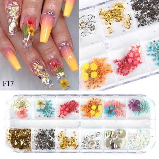 Natural Dried Flowers Decorations