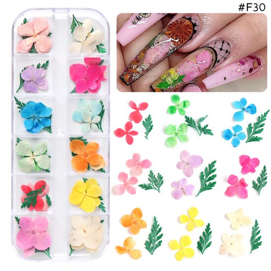 Natural Dried Flowers Decorations