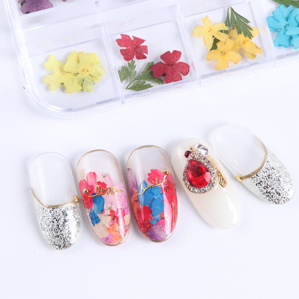 Natural Dried Flowers Decorations