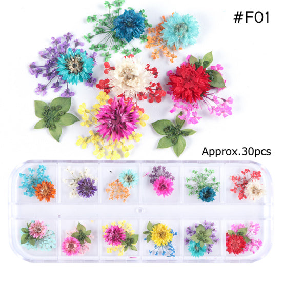 Natural Dried Flowers Decorations