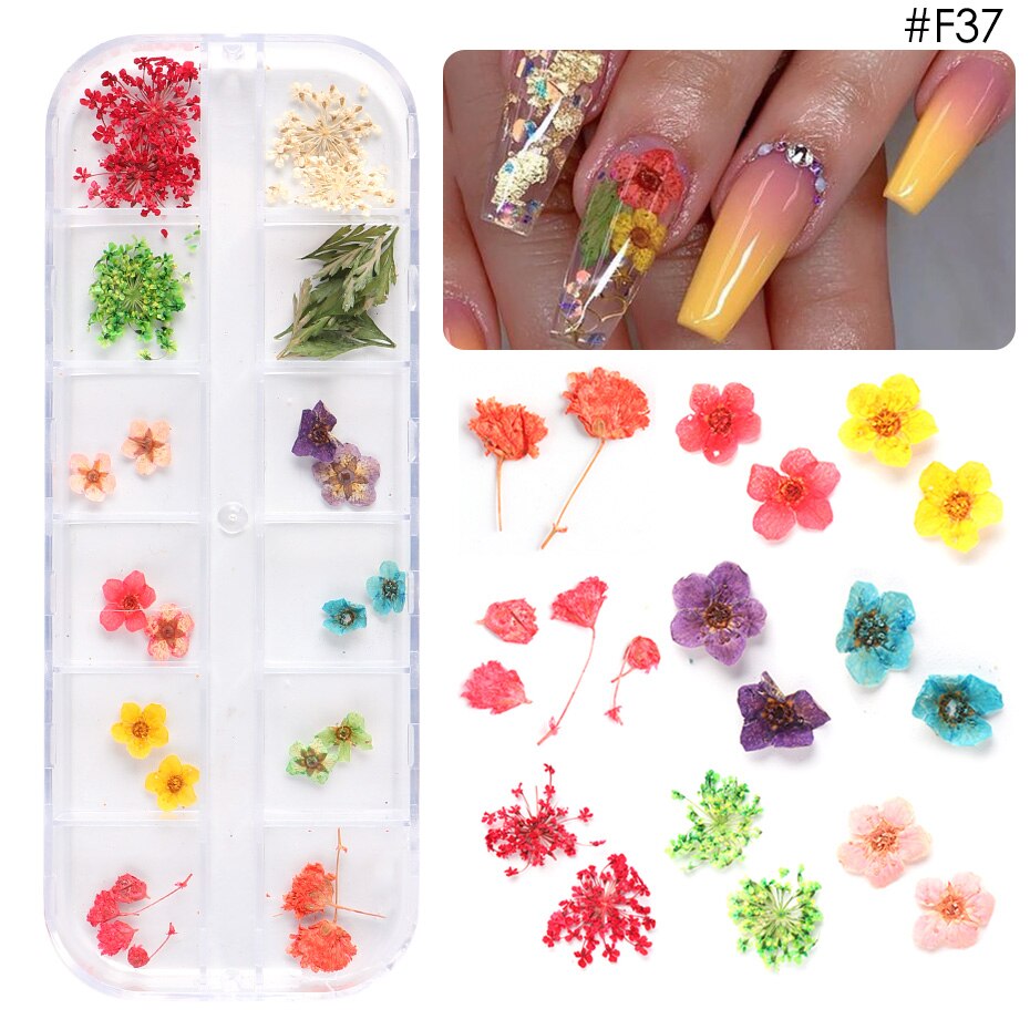 Natural Dried Flowers Decorations