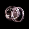 Set of 400 Flat Decorations for Pedicure