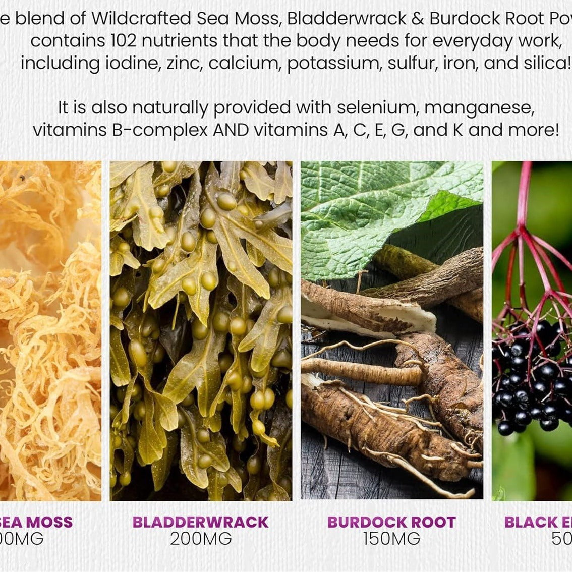 Seaweed Gummies