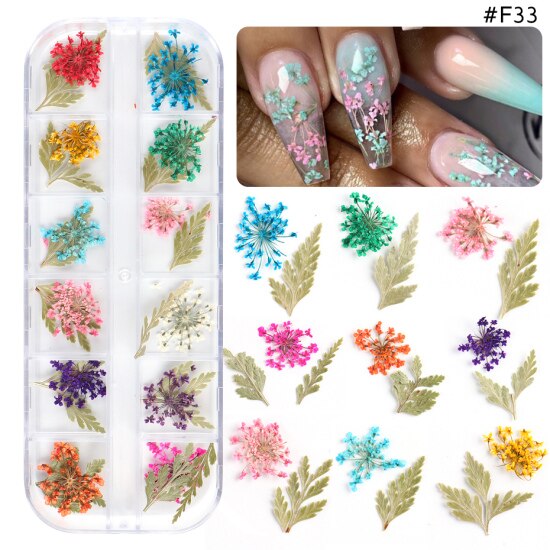 Natural Dried Flowers Decorations