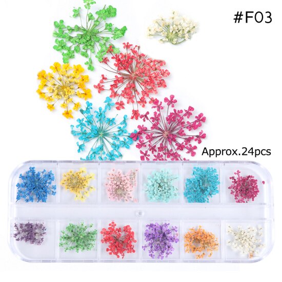 Natural Dried Flowers Decorations